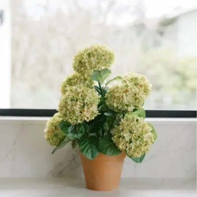 Cg Hunter 23" Artificial Light Green Potted Hydrangea Plant In Green