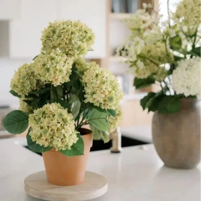 Cg Hunter 23" Artificial Light Green Potted Hydrangea Plant In Green