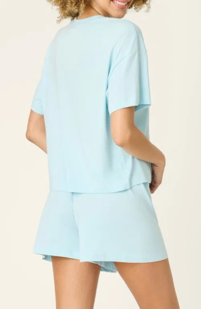 Pj Salvage Softee Short Pajamas In Light Blue