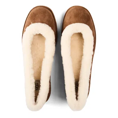 Ugg Solid Color Ballet Flat In Brown