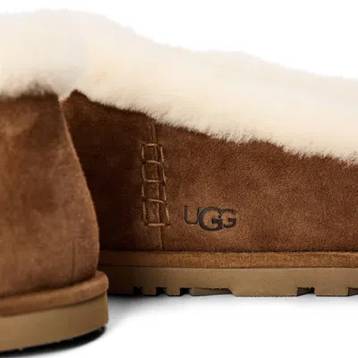 Ugg Solid Color Ballet Flat In Brown