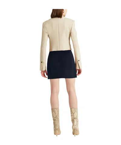 Max Mara Mini Skirts In Black