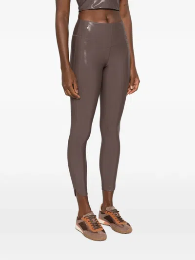 Macron O.n.e. Leggings In 브라운