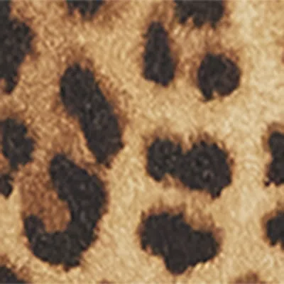 Source Unknown Leopard Print Anouk Mini Skirt In Brown