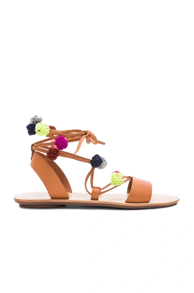 Shop Loeffler Randall Saskia Sandal In Light Cuoio & Multi