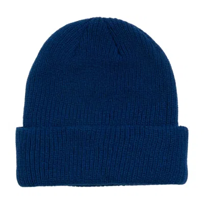 Stussy Basic Cuff Beanie 'blueberry'