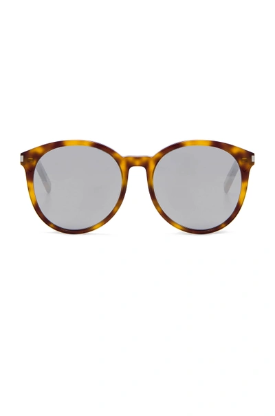 Saint Laurent Classic 6 Sunglasses In Brown,animal Print