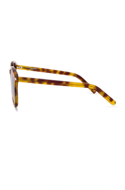 Shop Saint Laurent Classic 6 Sunglasses In Brown,animal Print