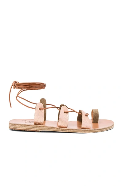 Shop Ancient Greek Sandals Alcyone Sandal In Pink Metal & Sand
