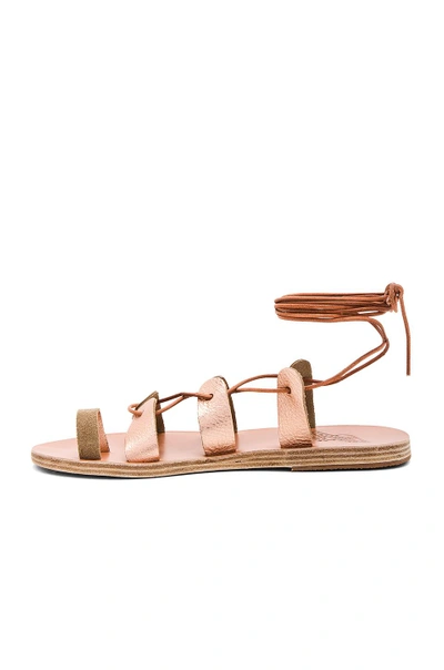 Shop Ancient Greek Sandals Alcyone Sandal In Pink Metal & Sand