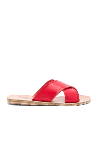Ancient Greek Sandals Thais Sandal In Red