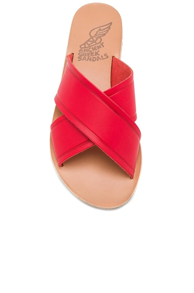 Shop Ancient Greek Sandals Thais Sandal In Red