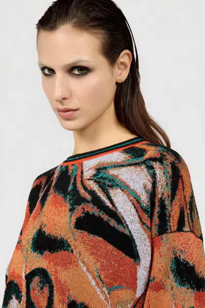 Roberto Cavalli Pullover Mit Butterfly-print In Multi