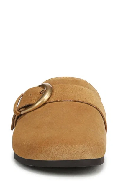 Sam Edelman Alyce Leather Mule In Desert Tan
