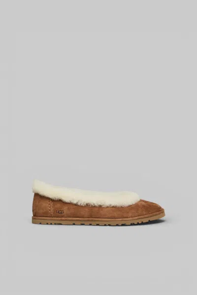 Ugg Soft Suede Ballet Flat With Plush Sheepskin Lining In Brown