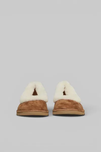 Ugg Soft Suede Ballet Flat With Plush Sheepskin Lining In Brown