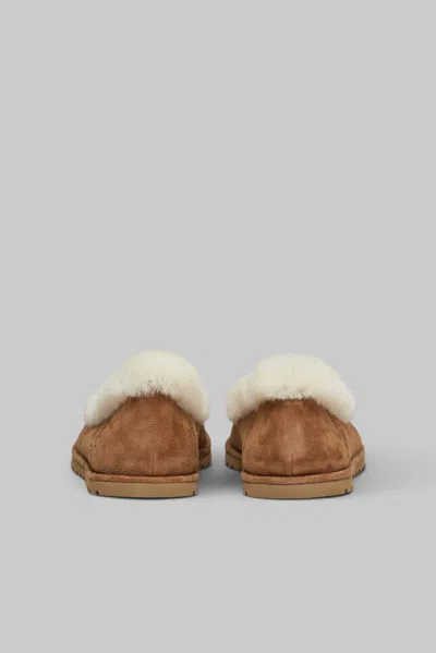 Ugg Soft Suede Ballet Flat With Plush Sheepskin Lining In Brown