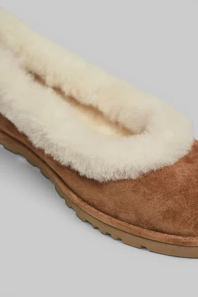Ugg Soft Suede Ballet Flat With Plush Sheepskin Lining In Brown