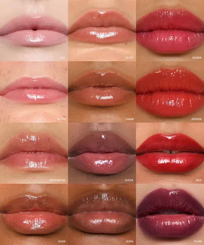 Refy Lip Gloss In Clove