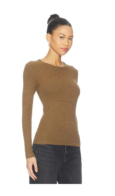Agolde Delphi Slim Tee In Brown