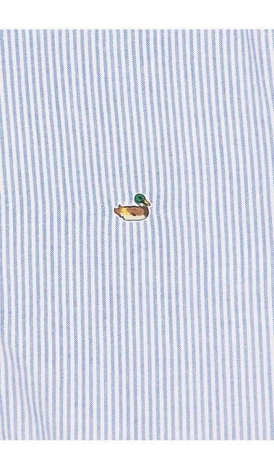 Edmmond Studios Duck Stripe-pattern Shirt In Blue