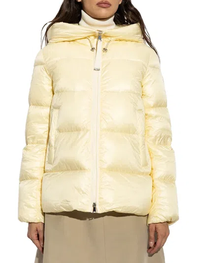 Moncler Down Jacket