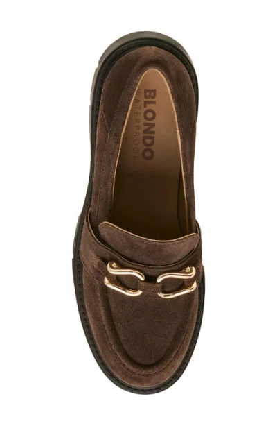 Blondo Kapri Leather Loafer In Java Suede