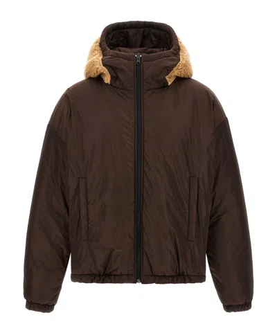 Dsquared2 Dsquared Reversible Teddy Jacket For Men In Brown