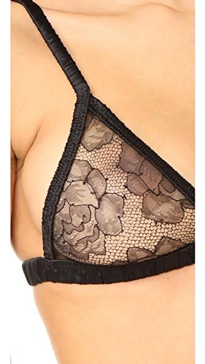 Shop Fleur Du Mal Rose Lace Triangle Bra In Black