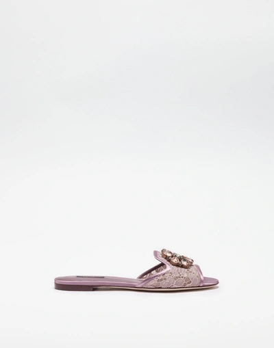 Shop Dolce & Gabbana Slippers In Lace With Crystals In Fard