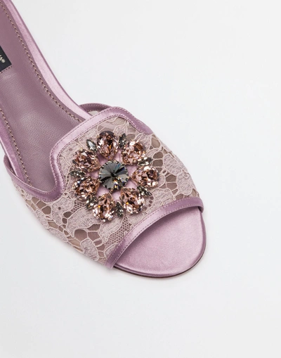 Shop Dolce & Gabbana Slippers In Lace With Crystals In Fard