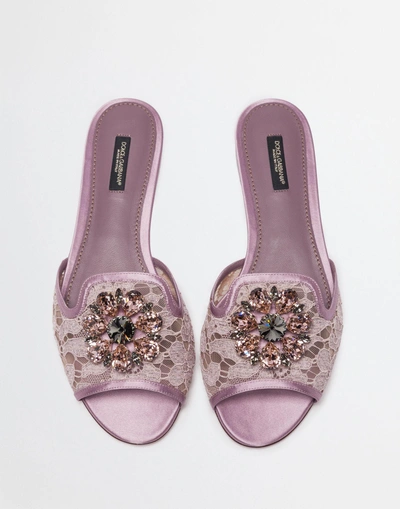 Shop Dolce & Gabbana Slippers In Lace With Crystals In Fard