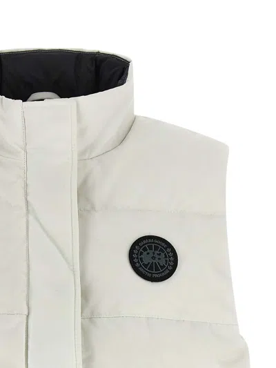 Canada Goose In White