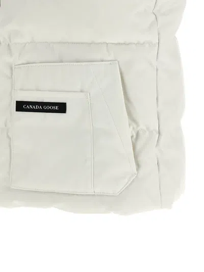 Canada Goose In White