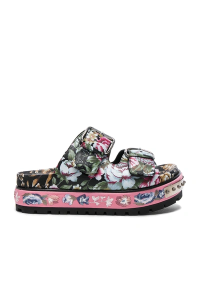 Shop Alexander Mcqueen Leather Sandals In Pink, Floral. In Black & Multi Cocktail