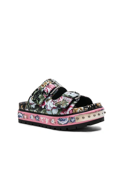 Shop Alexander Mcqueen Leather Sandals In Pink, Floral. In Black & Multi Cocktail