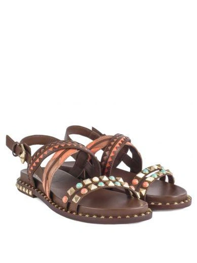 Shop Ash Massai Sandals Cacao Brown Leather In Multicolor