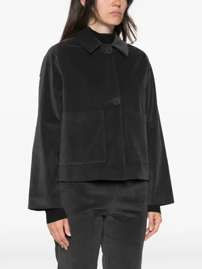 Why Ci Button-fastening Patch-pocket Jacket In Blue