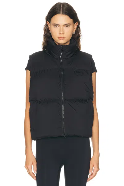 Canada Goose Fallon Down Puffer Vest In Black