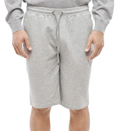 Corneliani Elasticated-drawstring Track Shorts In Gray
