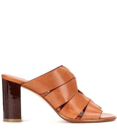 Shop Ferragamo Evelina Leather Mules In Brown