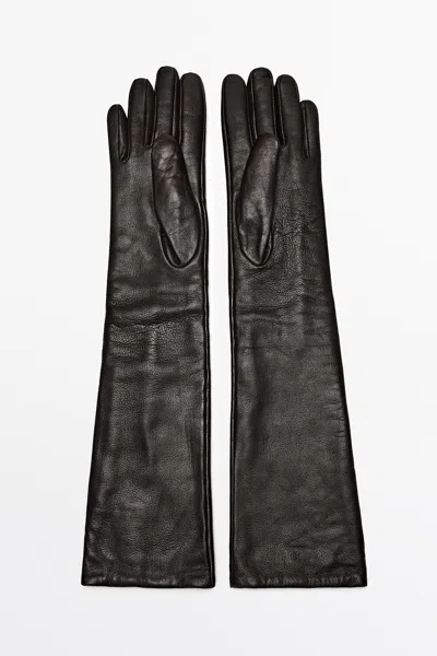 Massimo Dutti In Bruin