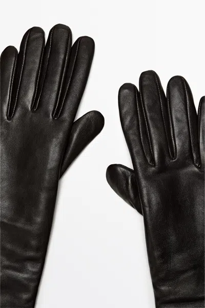 Massimo Dutti In Bruin
