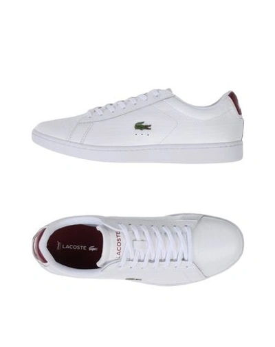 Lacoste Sneakers In White