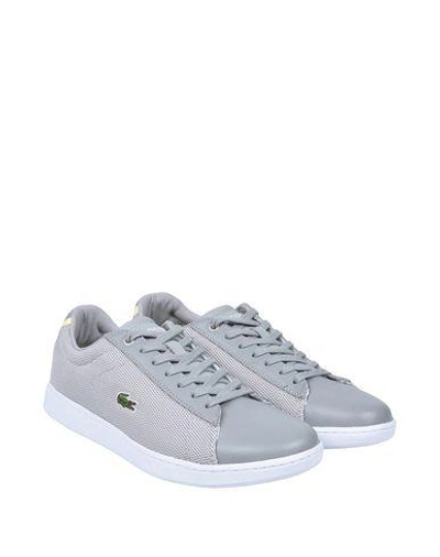 Shop Lacoste Sneakers In Light Grey