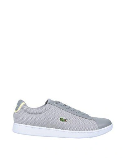 Shop Lacoste Sneakers In Light Grey