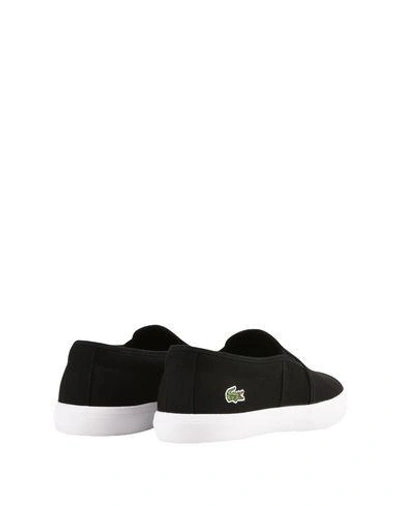 Shop Lacoste Sneakers In Black