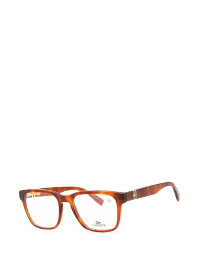 Lacoste Rectangle-frame Glasses In Brown