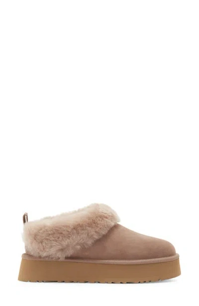Ugg Logo Mules In Caribou