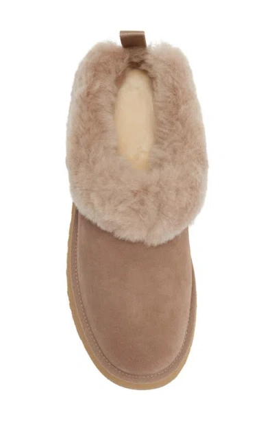 Ugg Logo Mules In Caribou